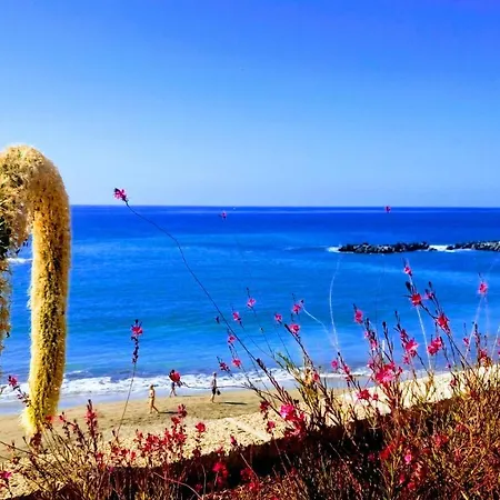 Adeje El Galeon Sea View Apartamento Costa Adeje (Tenerife)