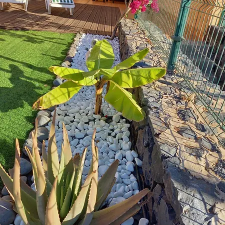 Apartamento Adeje El Galeon Sea View