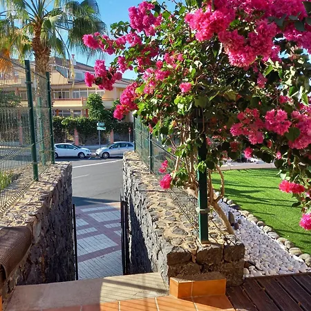 Adeje El Galeon Sea View Apartamento *